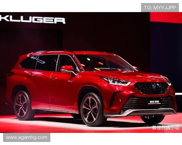 皇冠官方网站官方最新公告，及时掌握最新优惠活动与赛事信息