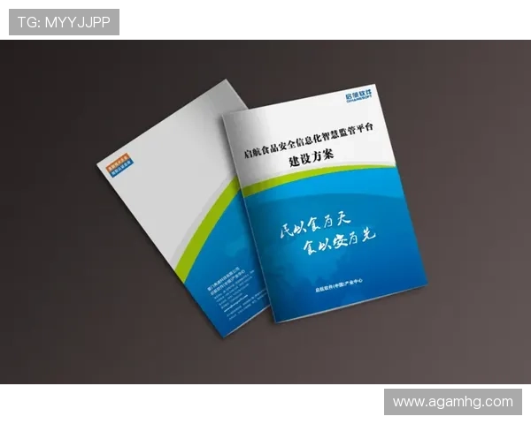 皇冠新二平台安全可靠，保障用户资金与信息安全的最佳选择