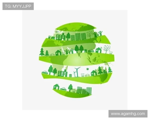 皇冠有限公司的企业社会责任实践与可持续发展战略分析