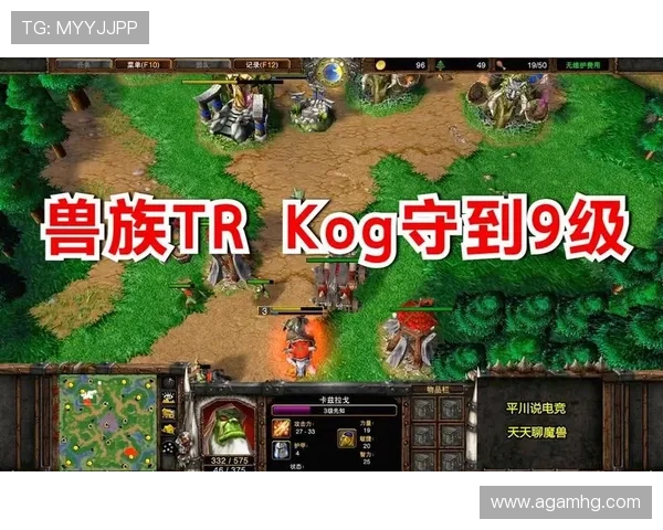 皇冠电竞在青少年电竞教育中的作用与未来发展潜力